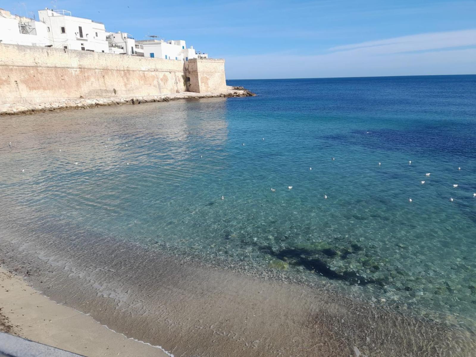 Suite Santa Caterina مونوبولي المظهر الخارجي الصورة